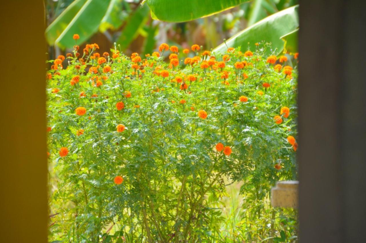 Malee Malee Guesthouse Koh Lanta Ngoại thất bức ảnh